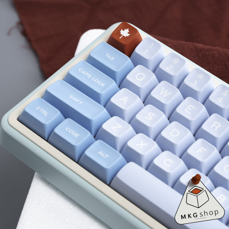 Keycap SA Falan - ABS doubleshot - Aifei SA profile - Hình ảnh 3