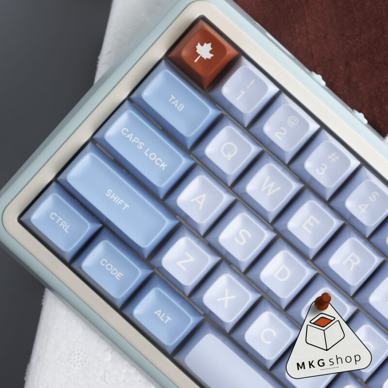 Keycap SA Falan - ABS doubleshot - Aifei SA profile - Hình ảnh 4