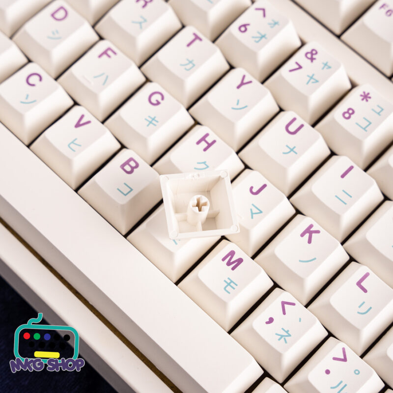 Keycap PBoW PBT dyesub, cherry profile - Ảnh 4