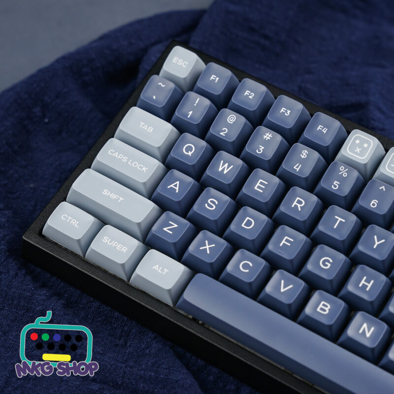 Keycap SA Fish ABS doubleshot, SA profile - Ảnh 4