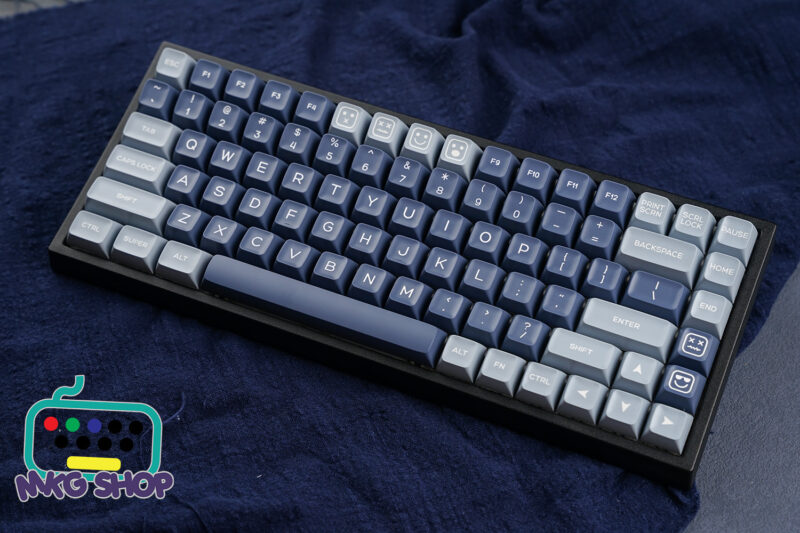 Keycap SA Fish ABS doubleshot, SA profile - Ảnh 3