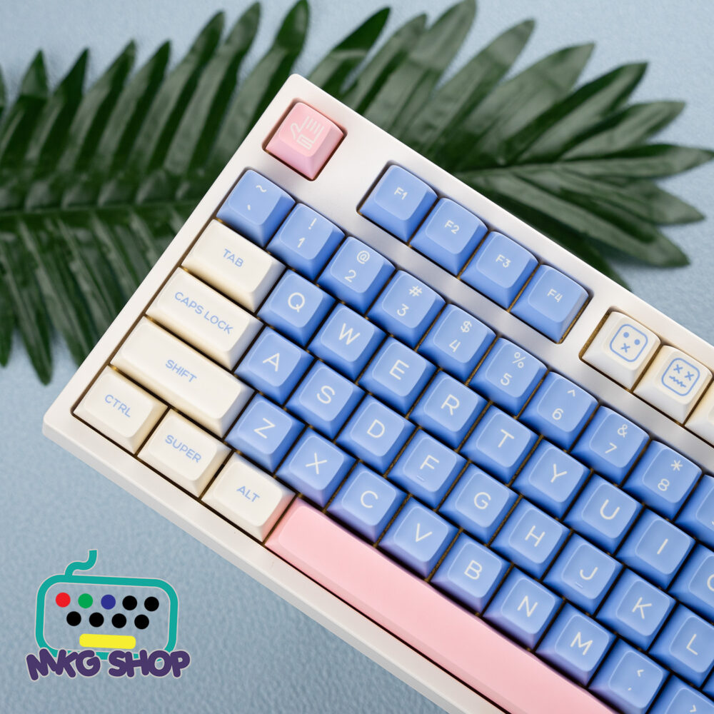 Keycap SA Gift , ABS doubleshot, SA profile