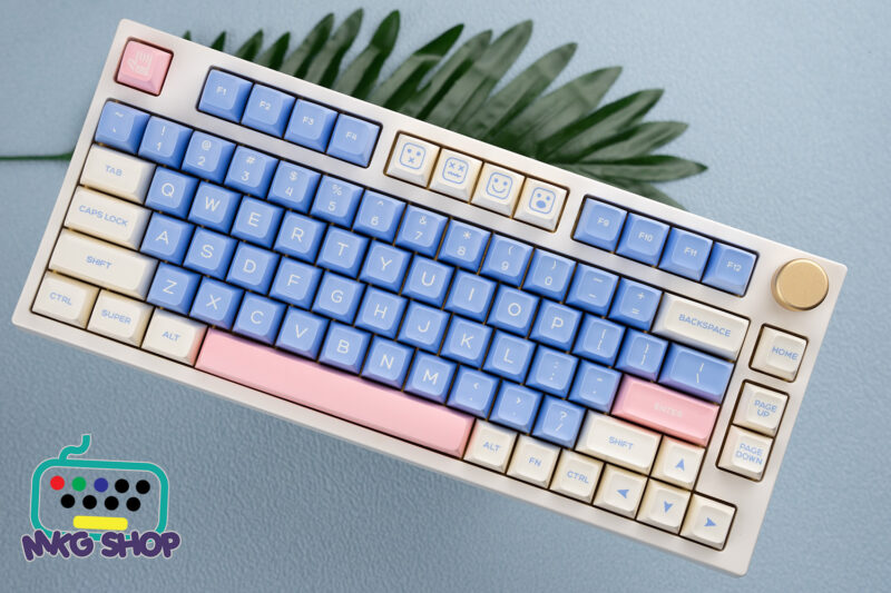 Keycap SA Gift , ABS doubleshot, SA profile - Ảnh 3