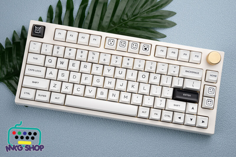 Keycap SA BoW ABS doubleshot, SA profile - Ảnh 4