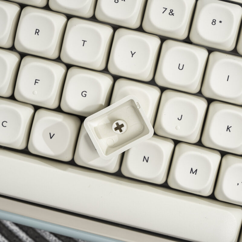 Keycap Chó mini - MOA profile - PBT dày in dyesub - Ảnh 4