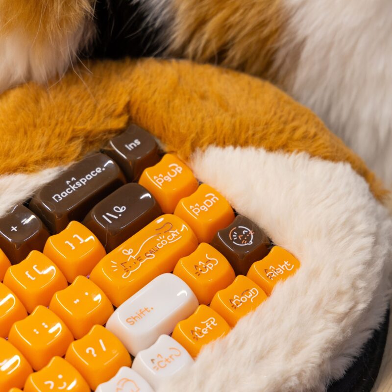 Keycap Mèo tam thể - MAO profile - nhựa PC - Ảnh 3